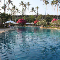 фото из отзыва ID 1145081