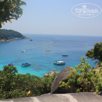 фото из отзыва ID 1145081