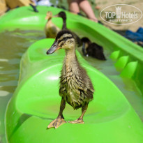 фото из отзыва ID 1145236