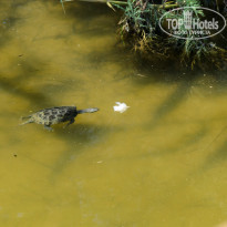 фото из отзыва ID 1145236