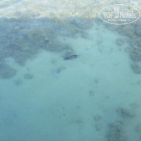 фото из отзыва ID 1145436