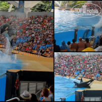 фото из отзыва ID 1145467