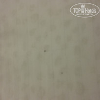 фото из отзыва ID 1145498