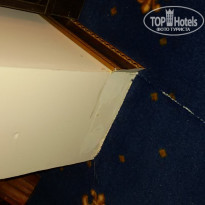 фото из отзыва ID 1145498