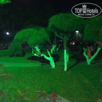 фото из отзыва ID 1145532