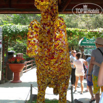 фото из отзыва ID 1145532