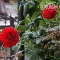 фото из отзыва ID 1145692