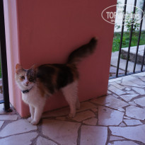 фото из отзыва ID 1145692