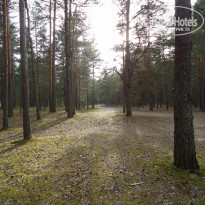 фото из отзыва ID 1145866