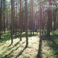 фото из отзыва ID 1145866