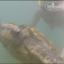 фото из отзыва ID 1145940