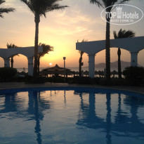 фото из отзыва ID 1146145