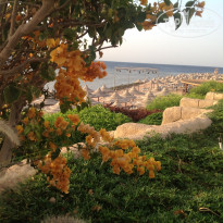 фото из отзыва ID 1146145