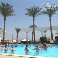 фото из отзыва ID 1146145