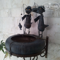 фото из отзыва ID 1146194