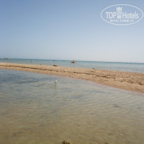 фото из отзыва ID 1146201