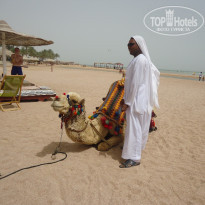 фото из отзыва ID 1146201