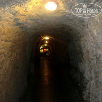 фото из отзыва ID 1146220