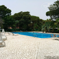 фото из отзыва ID 1146231