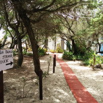 фото из отзыва ID 1146231