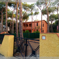 фото из отзыва ID 1146231