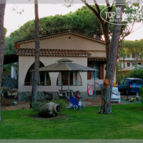 фото из отзыва ID 1146231