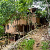 фото из отзыва ID 1146442