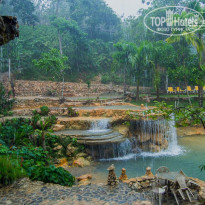 фото из отзыва ID 1146442