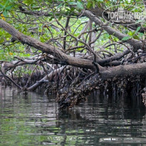 фото из отзыва ID 1146442