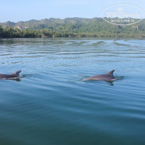 фото из отзыва ID 1146442