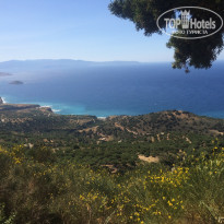 фото из отзыва ID 1146483