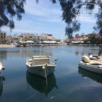 фото из отзыва ID 1146483