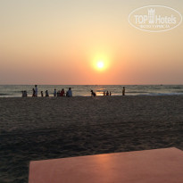 фото из отзыва ID 1146489