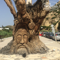 фото из отзыва ID 1146483