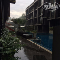 фото из отзыва ID 1146585