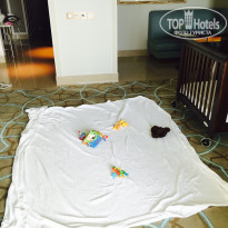 фото из отзыва ID 1146599