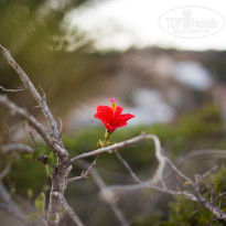 фото из отзыва ID 1146608