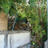 фото из отзыва ID 1140671