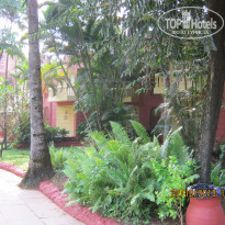 фото из отзыва ID 1146788