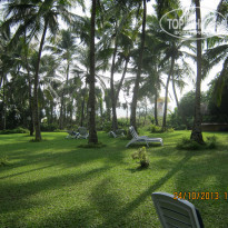 фото из отзыва ID 1146788