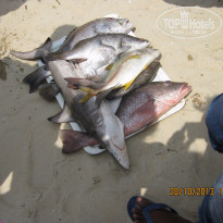 фото из отзыва ID 1146788