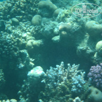 фото из отзыва ID 1146836