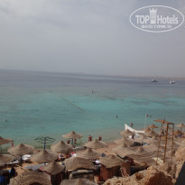 фото из отзыва ID 1146836