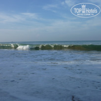 фото из отзыва ID 1146831