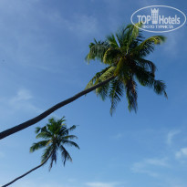 фото из отзыва ID 1146831