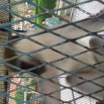 фото из отзыва ID 1146996