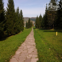 фото из отзыва ID 1147013