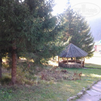 фото из отзыва ID 1147013