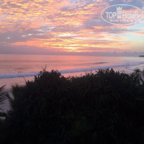 фото из отзыва ID 1146013