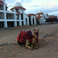 фото из отзыва ID 1147169